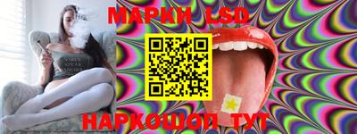 стаф Обь