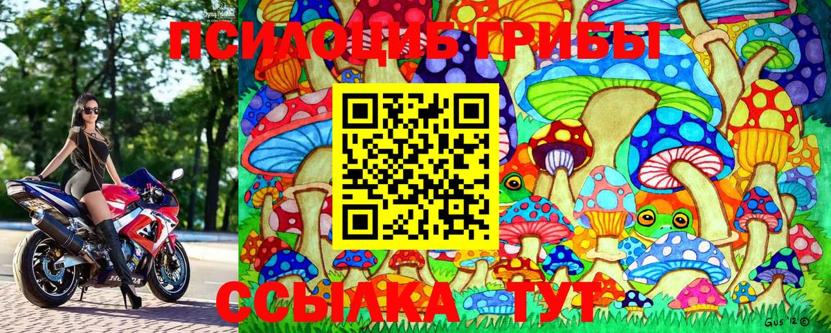 Галлюциногенные грибы GOLDEN TEACHER Отрадный