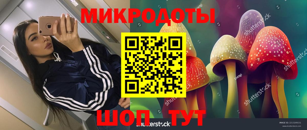 цена наркотик  Галлюциногенные грибы MAGIC MUSHROOMS  Вход с VPN  Псилоцибиновые грибы MAGIC MUSHROOMS  Отрадный 